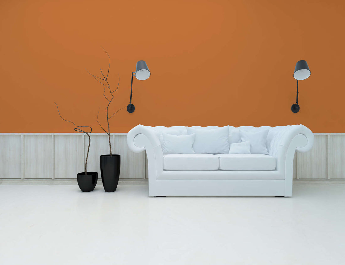 PURO Premium Wandfarbe - Deutsche Qualität für Innenräume (Gedämpftes Orange c9003)