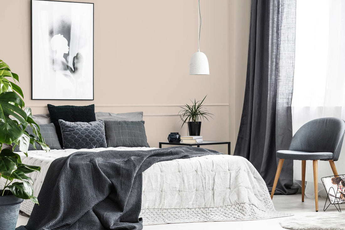 PURO Premium Wandfarbe - Deutsche Qualität für Innenräume (Apricot c9010)